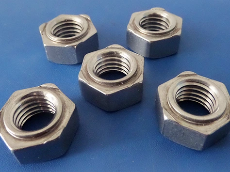 Species of nut.